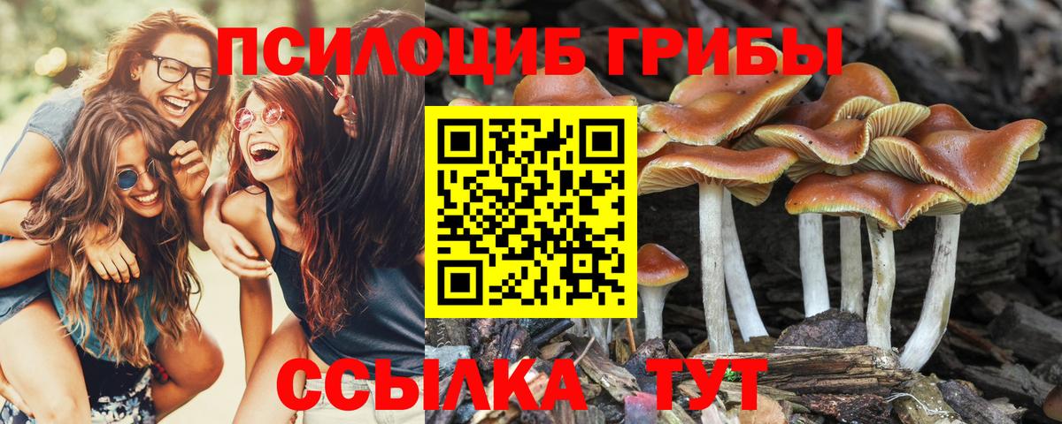 Псилоцибиновые грибы ЛСД Баксан